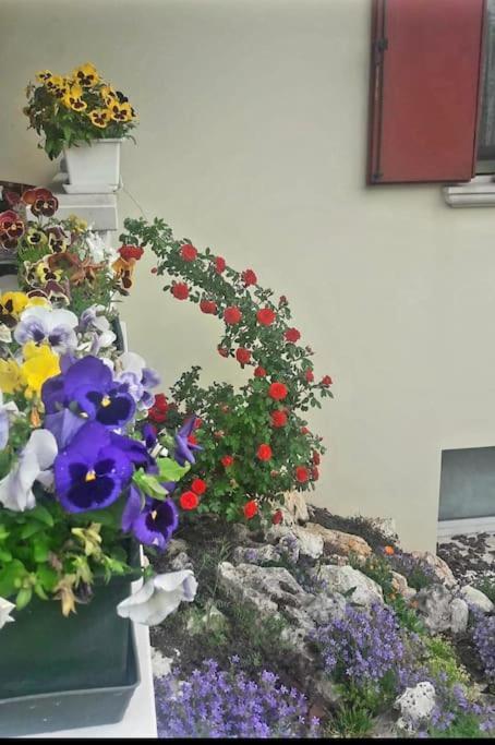 Villa Ama Pordenone Eksteriør bilde