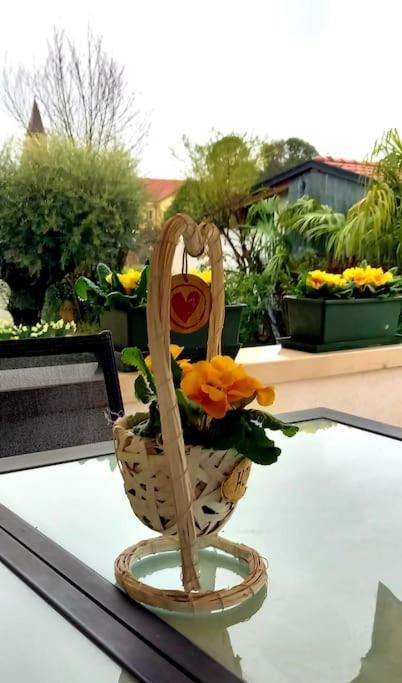 Villa Ama Pordenone Eksteriør bilde