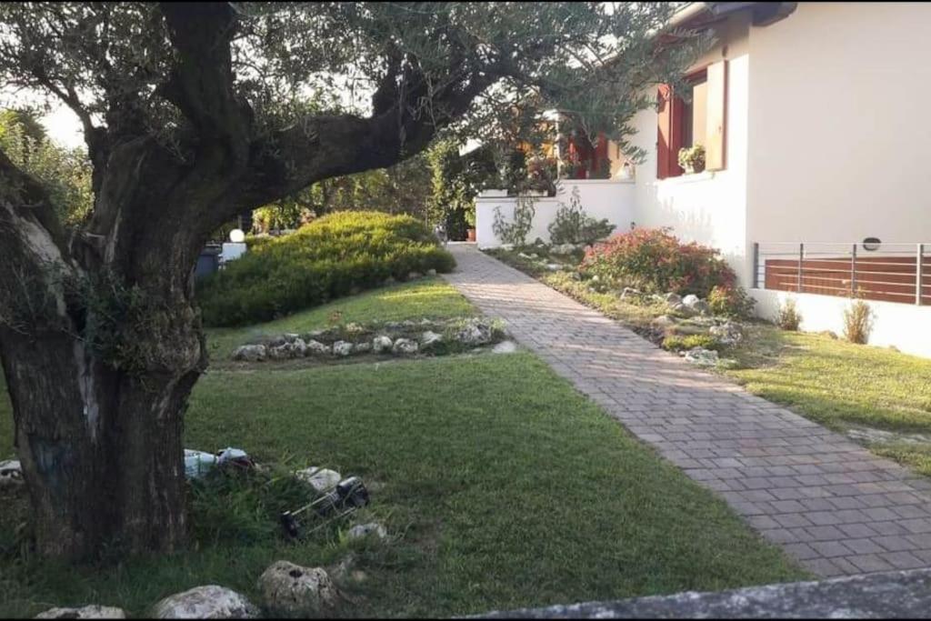 Villa Ama Pordenone Eksteriør bilde