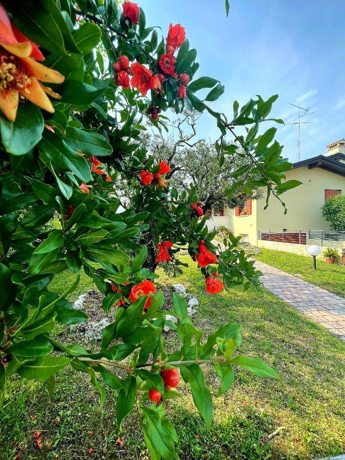 Villa Ama Pordenone Eksteriør bilde