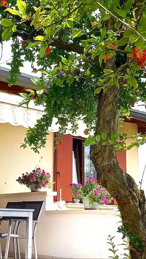 Villa Ama Pordenone Eksteriør bilde